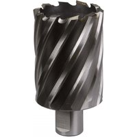 Sealey RBHSS46L Rotabor Cutter, silver with spiral flutes, 46mm diameter, 50mm cut depth, cylindrical shank.