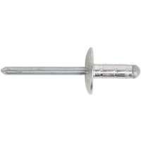 "Silver aluminium multi-grip rivet with large flange, 4.8 x 19mm size, cylindrical body and rounded head, pack of 200"