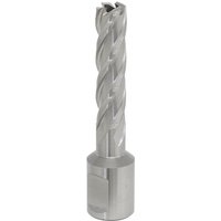Sealey Rotabor Weldon Shank HSS Mag Drill Cutter, silver with spiral flutes and cylindrical shank.