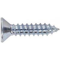 Silver Sealey self-tapping screw, 4.2 x 19mm, countersunk head, Pozi drive, pack of 100.