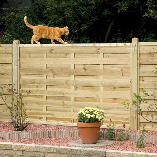Square wooden fence panel in light wood with horizontal slats, standing 1.2m tall, complemented by a potted yellow flower plant and an orange cat walking along the top.