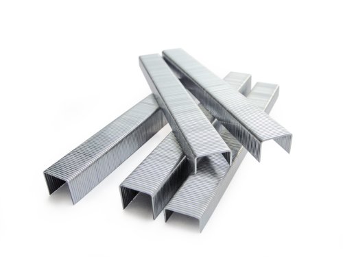 Silver stainless steel staples, each 10mm in length, arranged in a scattered formation, showcasing their sharp edges and ridged design, packed in a quantity of 2000.