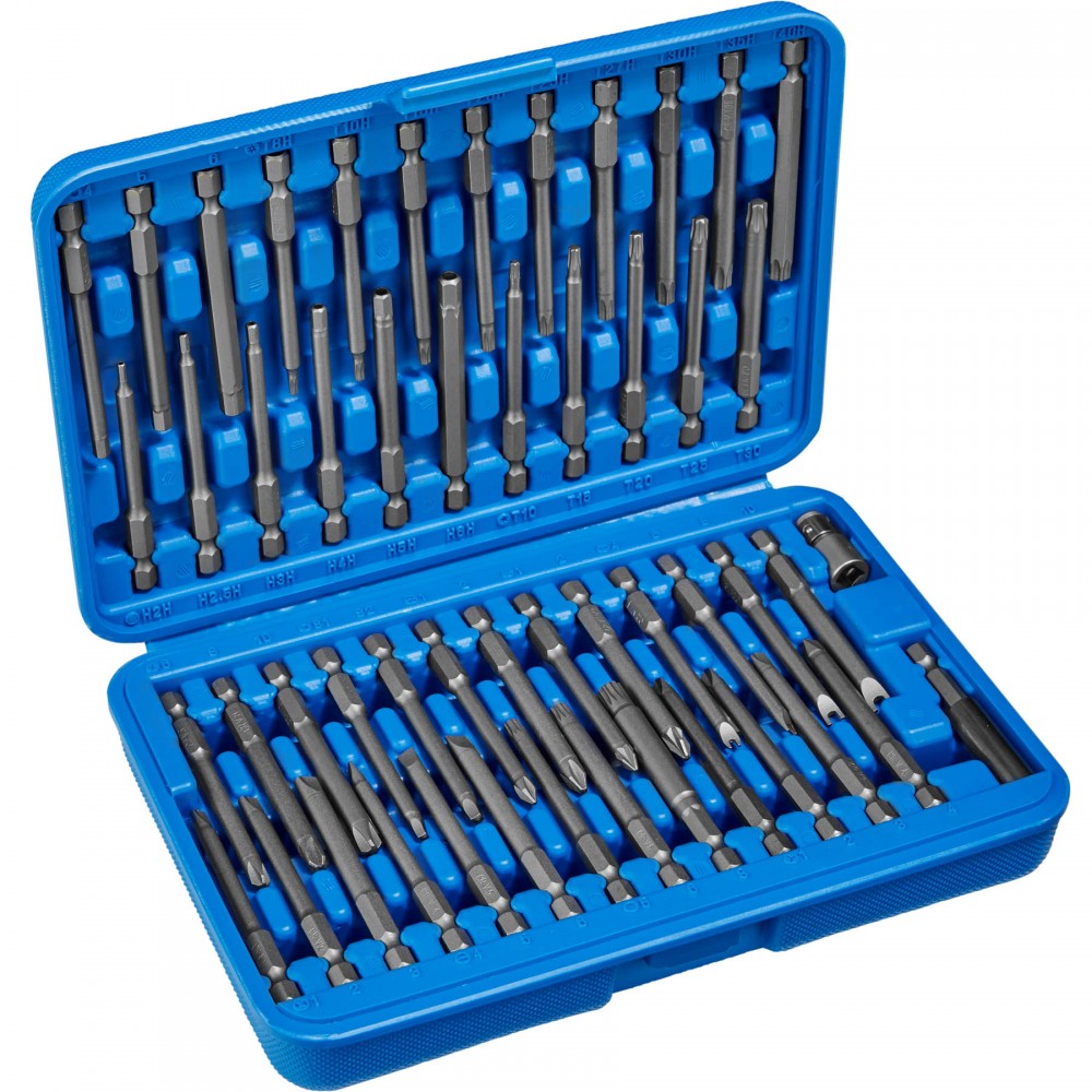 51-piece long bit set in a blue plastic case, featuring various metal bits for different screw types, organized neatly with a secure closure.