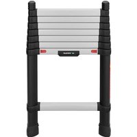 Telesteps Prime Line telescopic ladder, silver rungs with black sides, compact and collapsible design.