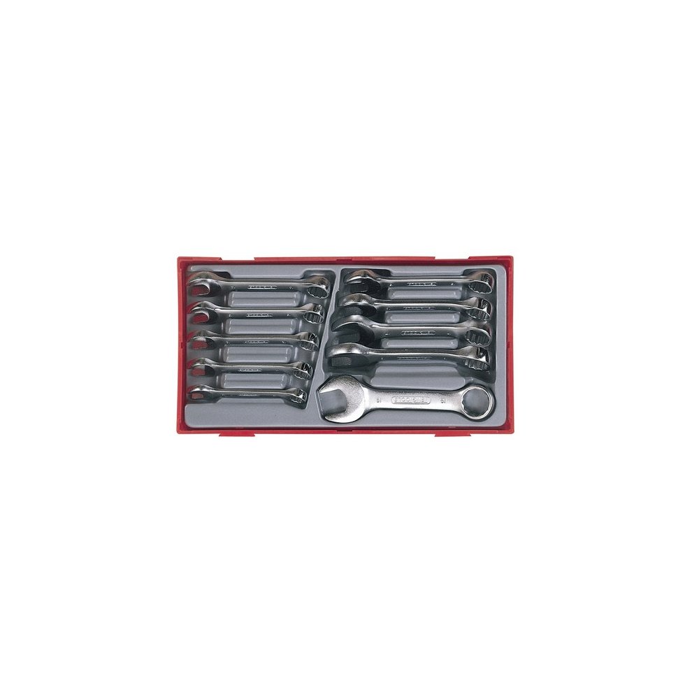 Ten-piece Teng TC40 TT6010M metric combination spanner set in a red storage case, featuring polished chrome vanadium steel wrenches with both open and ring ends.