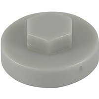 White TIMCO hex head cover cap, 16mm diameter, round with hexagonal center, smooth surface.