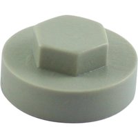 Goosewing grey TIMCO hex head cover cap, 19mm, with a smooth round base and raised hexagonal top.
