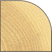 Trend Bearing Guided Ovolo Cutter with 12.7mm radius, gold finish, curved edge, and textured surface.