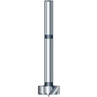 Trend WS Long Series Forstner Drill Bit, silver with saw tooth edge and extended shank for precise wood drilling.
