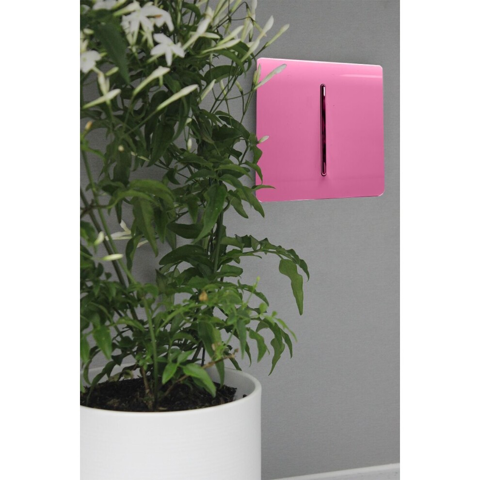 Trendi Switch 1 Gang 10amp Candy Pink Intermediate Rocker Light Switch - image 4