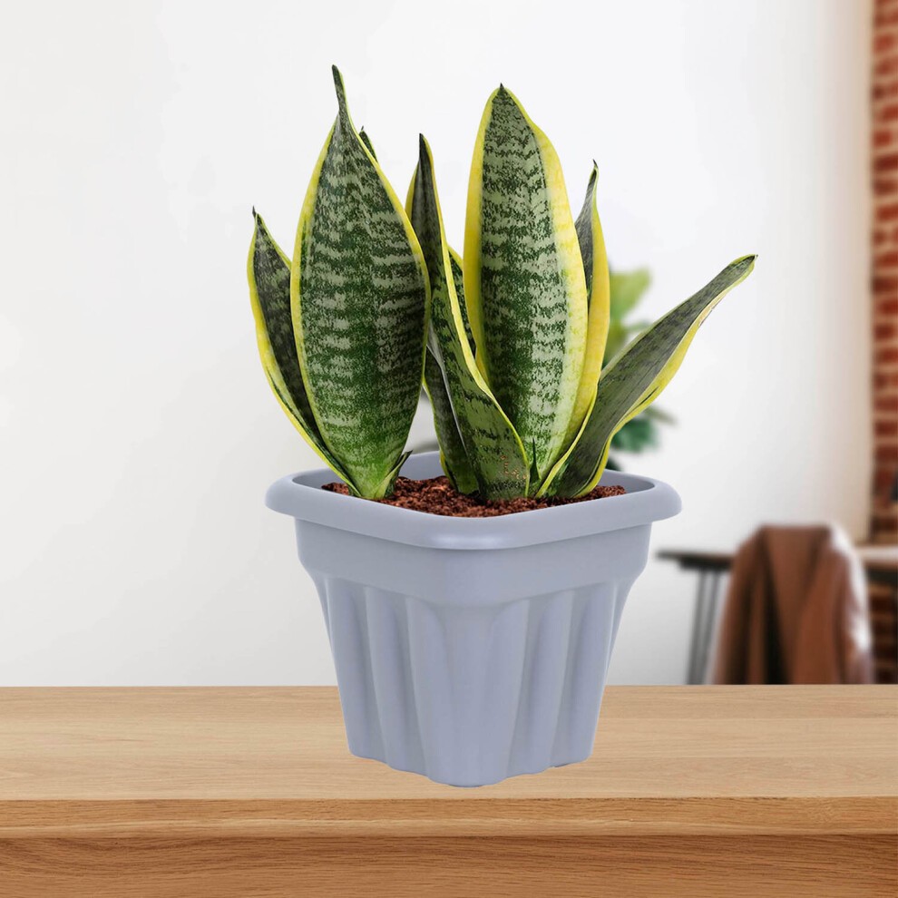 Wham Vista Upcycle Grey Recycled Plastic Square Planter 25cm 6 Pack - image 3