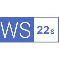 Windows Server 2022 logo in blue and white with "WS 22s" text, digital download key for 50 user connections.