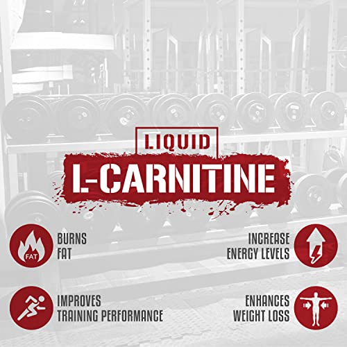 5% Nutrition Liquid L-Carnitine 3150 Legendary Series Watermelon - image 3
