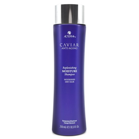 Tall, sleek bottle of Alterna CAVIAR Anti-Aging Replenishing Moisture Shampoo, featuring a deep purple color, silver cap, and white text highlighting its moisturizing properties.