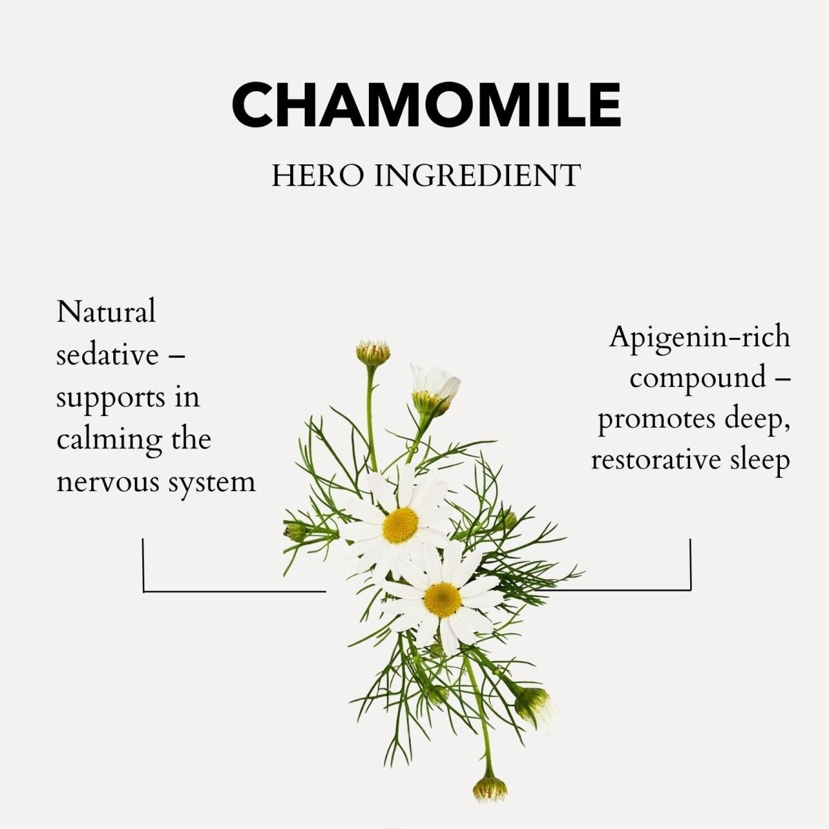Anatomē Roman Chamomile Pillow Spray 50ml - image 2