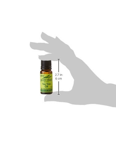 Australian Tea Tree Antiseptic Oil 10ml - image 4