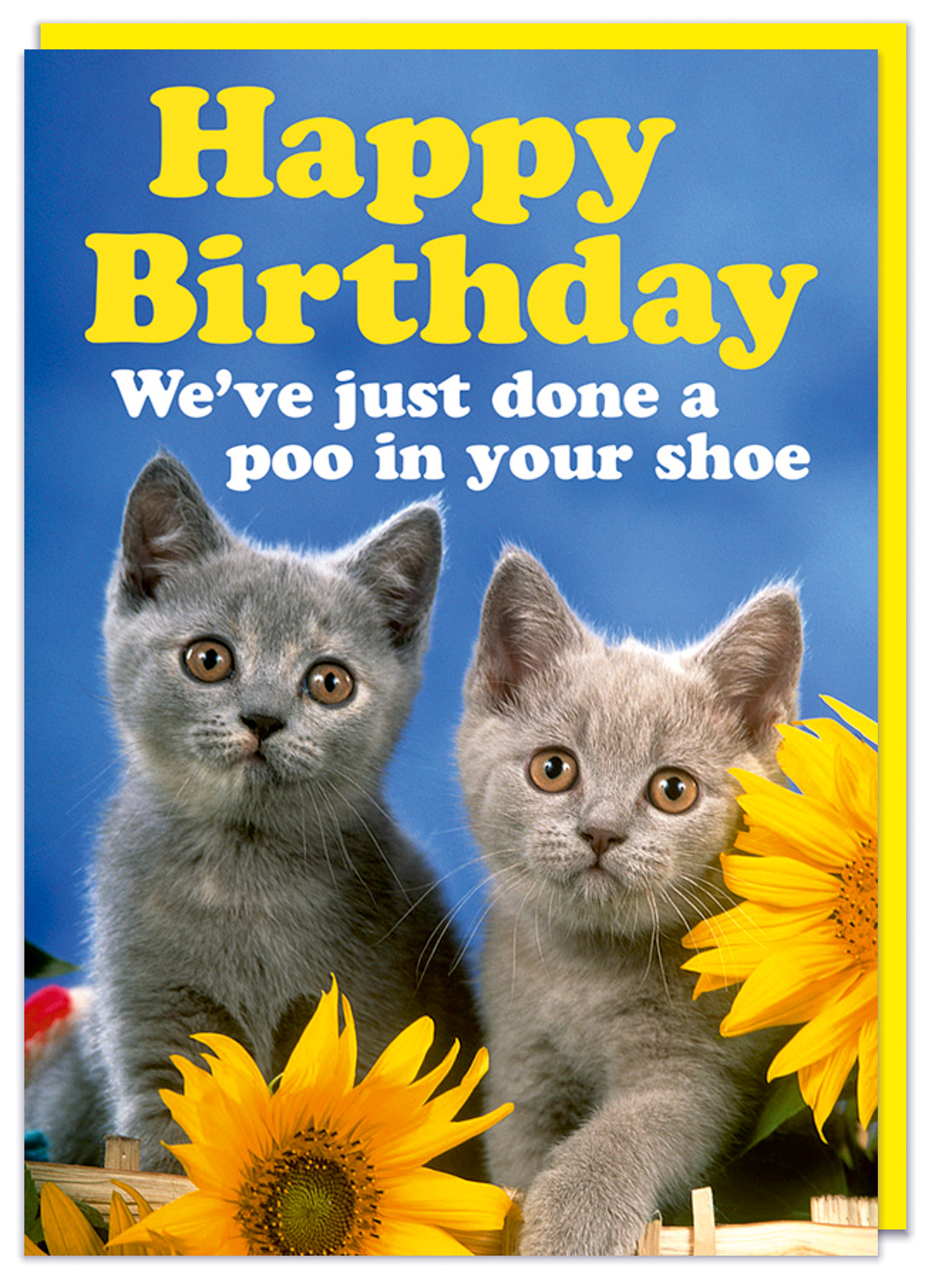Dean Morris Cards Cats Done a Poo in Your Shoe Card