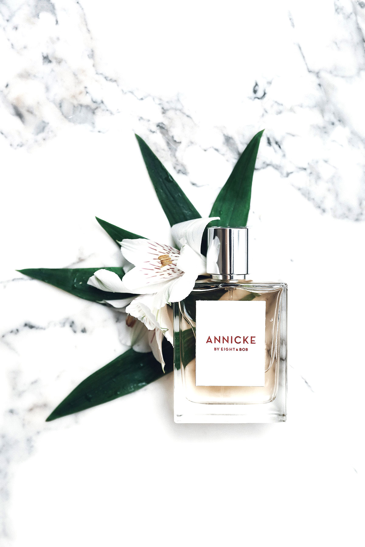 Eight & Bob - Annicke 3 Eau de Parfum 100 ml - Women's Chypre Perfume - image 3