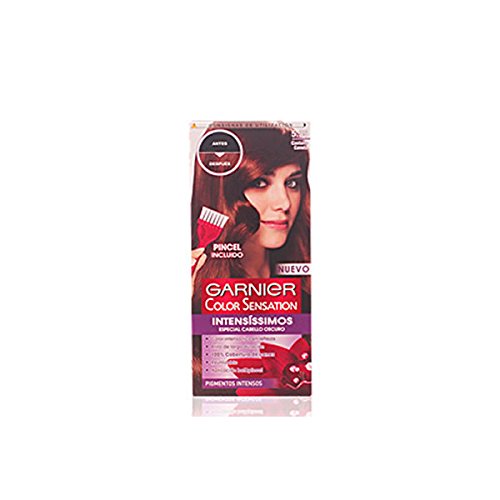 Garnier Color Sensations Hair Color in 5.35 Cinnamon Chestnut, featuring a model with dark hair, a pink applicator brush, and vibrant packaging with red and white accents.