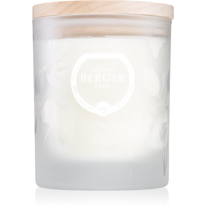 Maison Berger Lampe Berger (Maison Berger Paris)Scented Candle - Aroma Focus Scented Candle