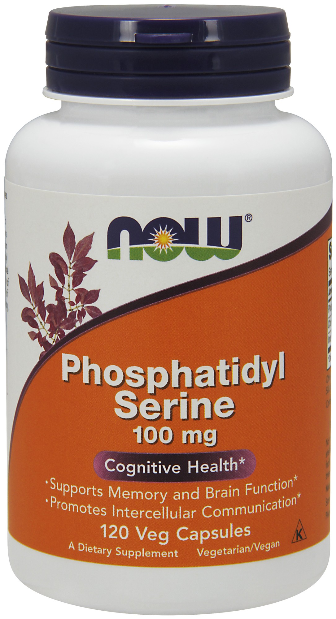 White bottle with a dark blue and orange label, featuring "Phosphatidyl Serine 100 Mg" in bold text, along with a leaf design and details about cognitive health benefits.