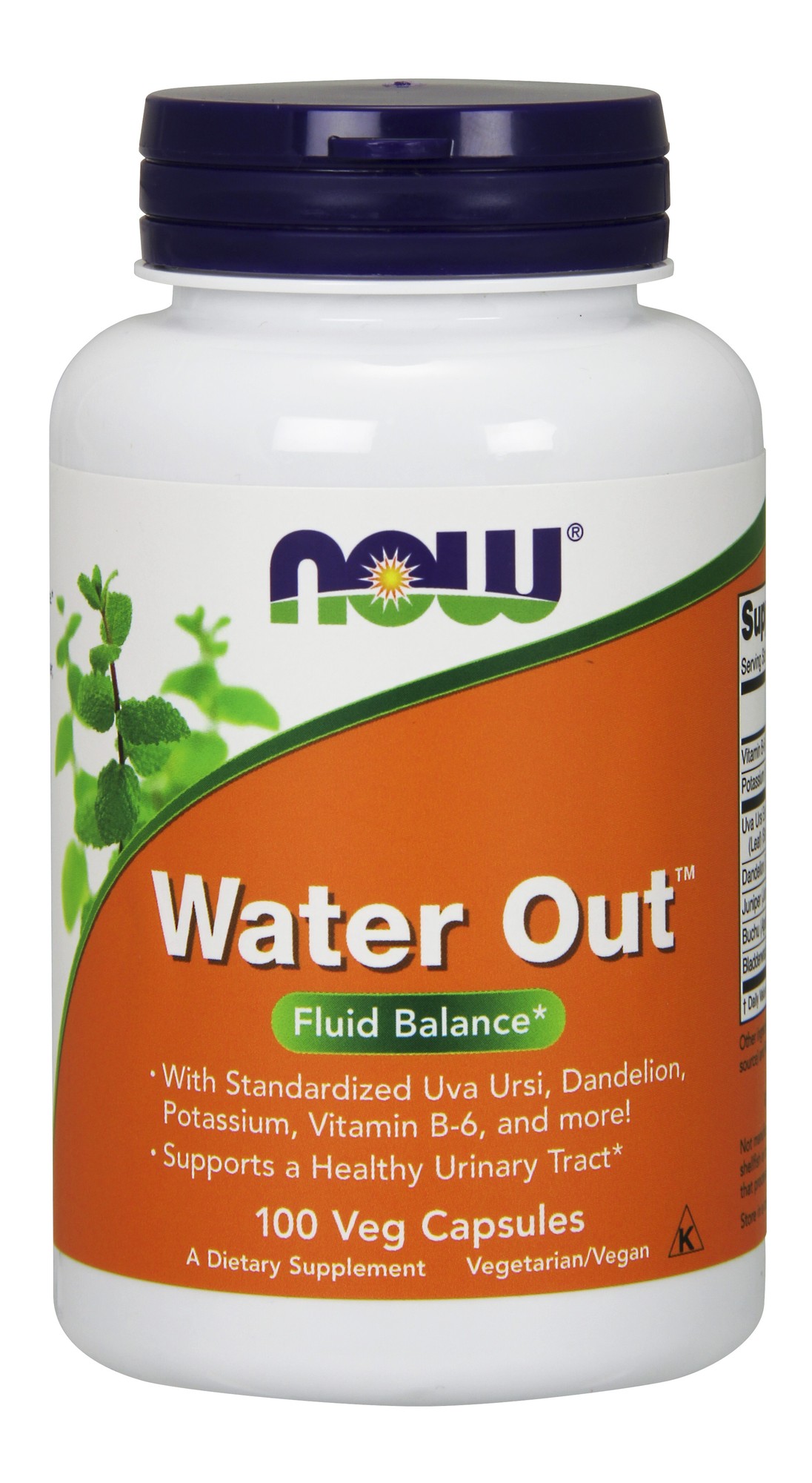 White bottle with an orange label featuring "Water Out" in bold blue letters, listing ingredients like Uva Ursi and Dandelion, and indicating it contains 100 vegetarian capsules.