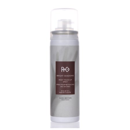 R+Co BRIGHT SHADOWS Root Touch-up Spray in a sleek silver canister, featuring a dark brown label, designed for covering roots and enhancing hair color.