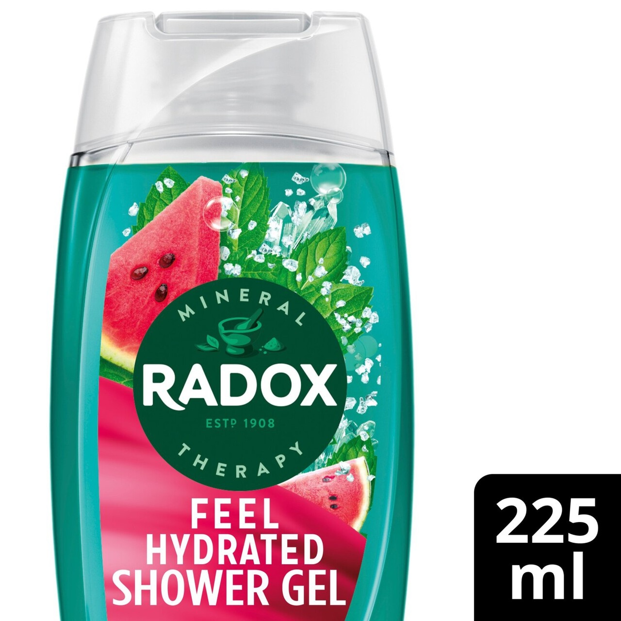 Radox Feel Hydrated Shower Gel in a turquoise bottle featuring watermelon and mint graphics, with a clear cap and 225 ml label.