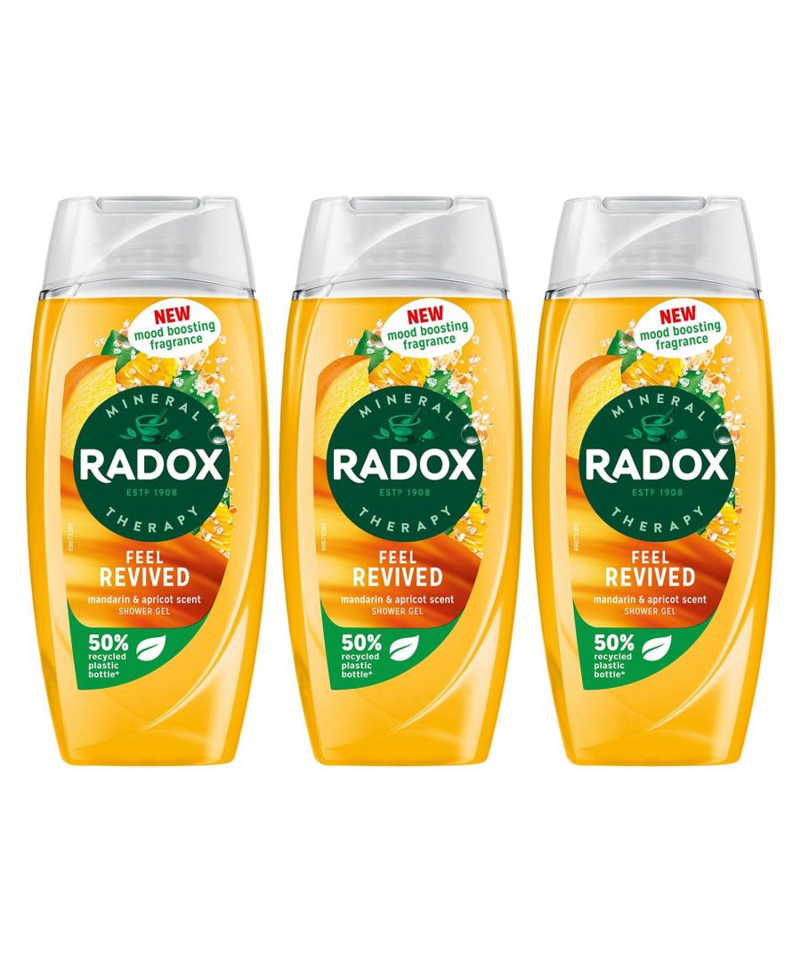 Radox Radox 'shower Gel' Feel Revived with Mandarin & Apricot Scent, 6 X 225Ml in Yellow