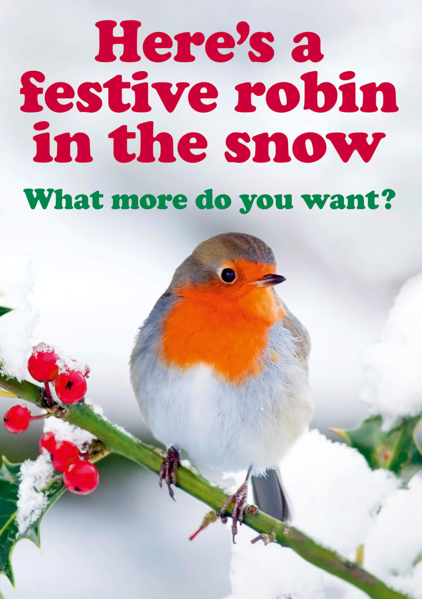 A cheerful robin with a bright orange breast perches on a snow-covered branch adorned with red berries, surrounded by white snow, with festive text above.