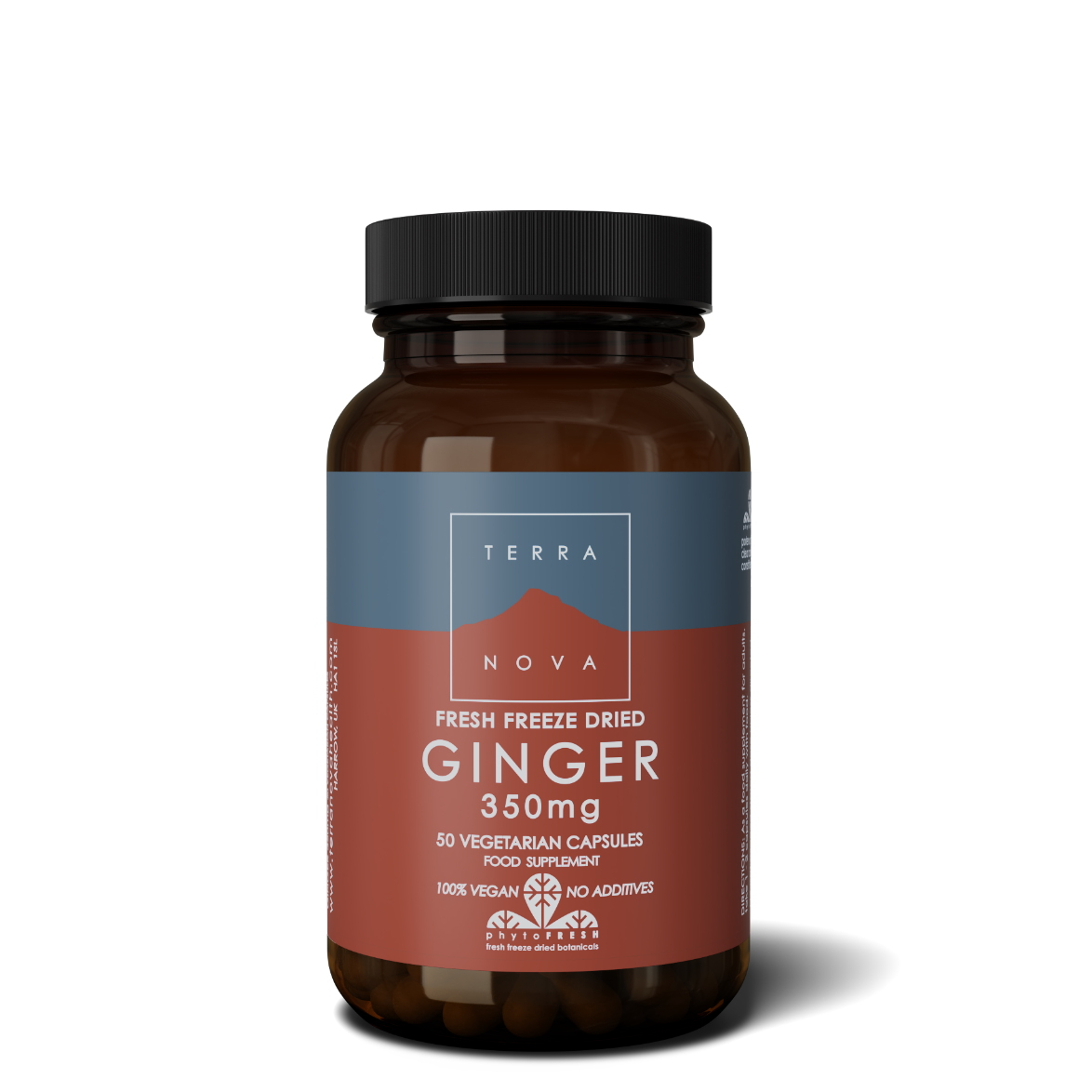 Brown glass bottle with a black lid, featuring a blue and red label that reads "Terranova Fresh Freeze Dried Ginger 350mg" and indicates 50 vegetarian capsules, labeled as vegan and additive-free.