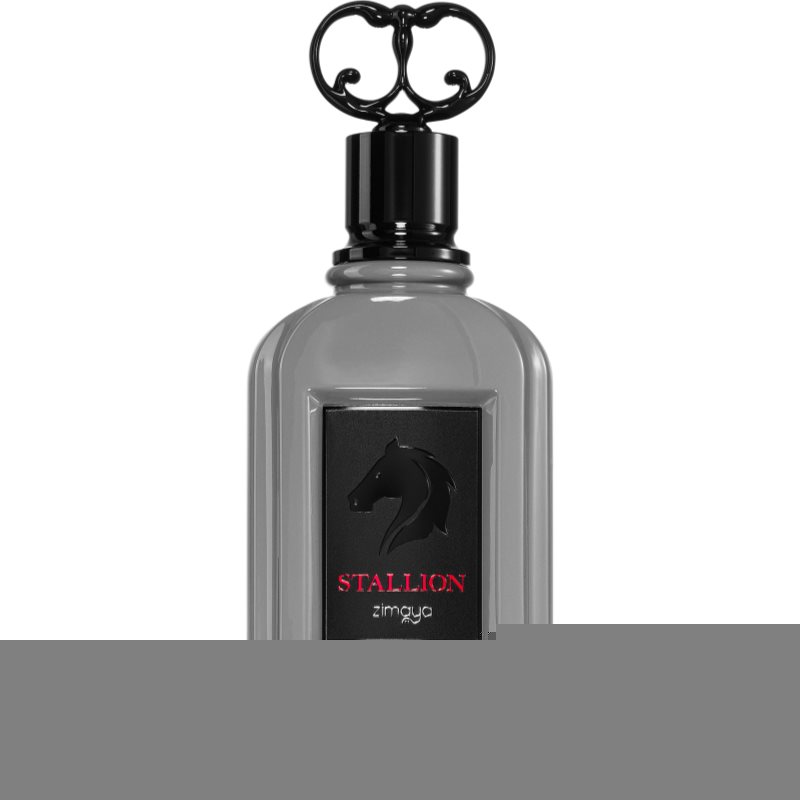 Zimaya Stallion Eau De Parfum 100ml - image 2