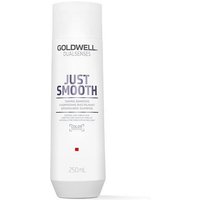Goldwell Dual Senses Just Smooth Taming Shampoo 250ml, white bottle with silver cap and purple text.