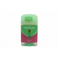Mitchum Powder Fresh Deodorant Stick 41g, green cap, pink and green label, with Mitchum logo and freshness claim.