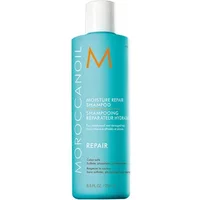 Teal Moroccanoil Moisture Repair Shampoo bottle with white cap and orange logo, 250ml size.