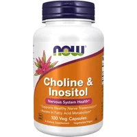 White bottle of NOW Foods Choline & Inositol 500mg, orange label, purple accents, 100 veg capsules.