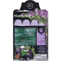 Paul Mitchell gift set with green and lavender packaging, featuring tea tree lavender mint shampoo and conditioner.