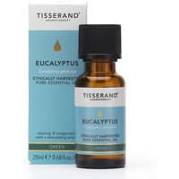 Tisserand Eucalyptus Essential Oil 20ml in amber bottle with black cap, blue and white label, box in background.