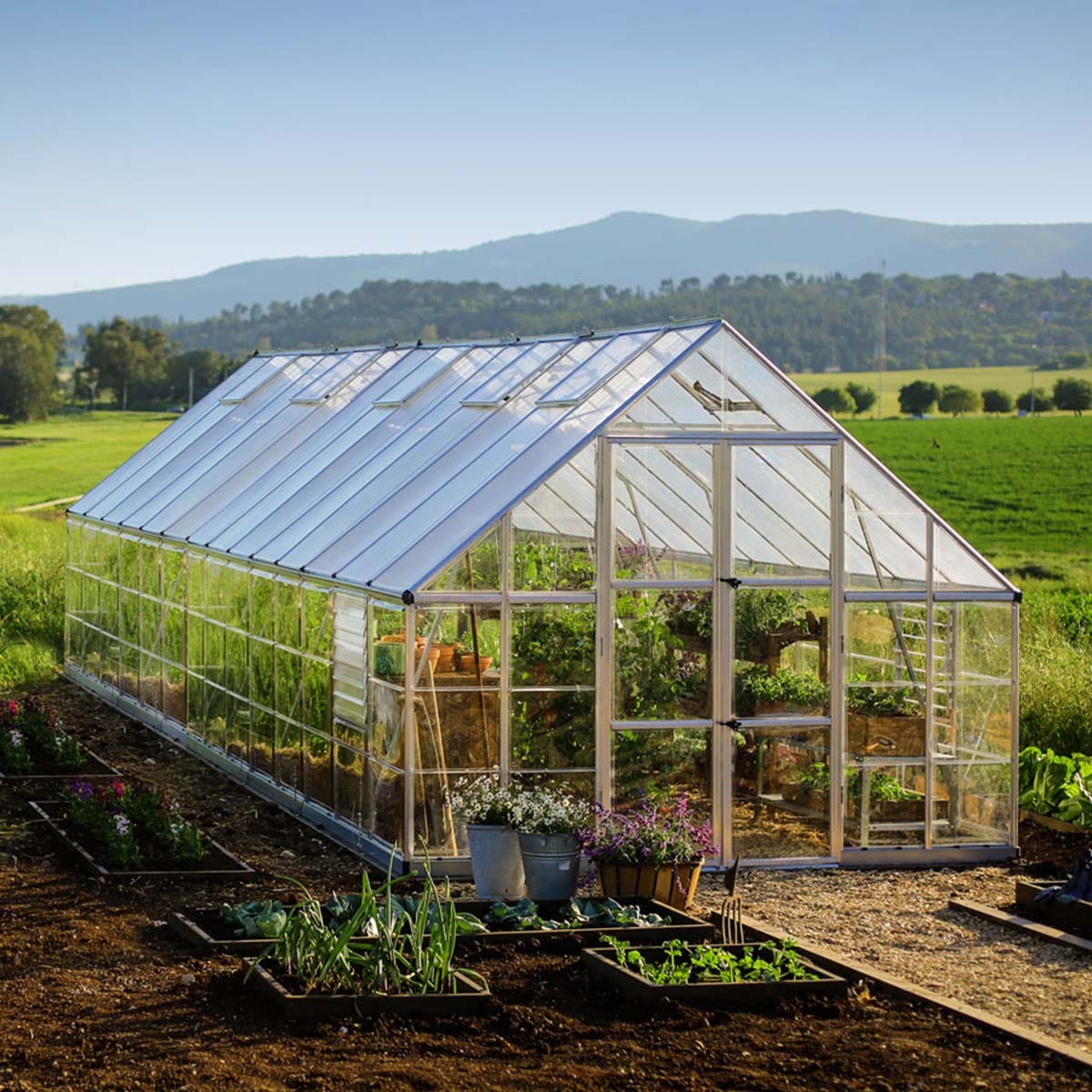 Large silver greenhouse with a transparent polycarbonate structure, featuring a sloped roof, double doors, and surrounded by garden beds with various plants.
