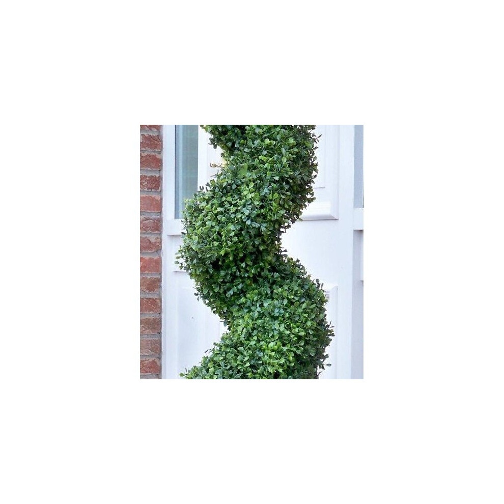 2ft Boxwood Spiral Topiary Tree - image 2