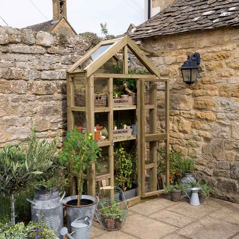 A wooden tall wall lean-to greenhouse with a slanted roof, featuring glass panels, multiple shelves, and labeled "SEEDLINGS," surrounded by potted plants and stone walls.