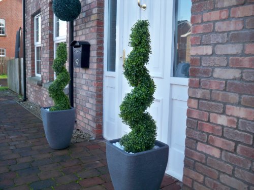 3ft Boxwood Spiral Topiary Tree - image 2