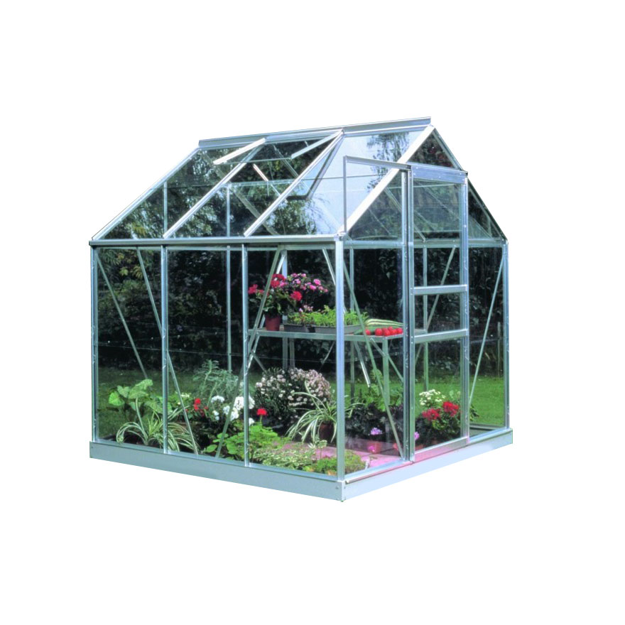 Small green greenhouse with a metal frame, glass panels, and a slanted roof, featuring shelves filled with various colorful plants and flowers.