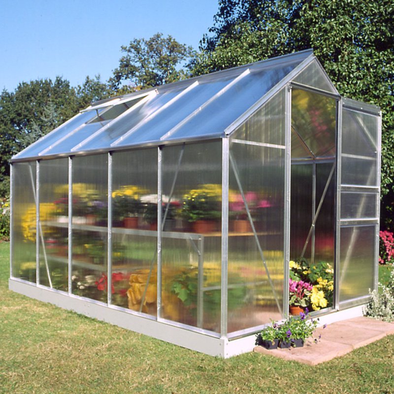 A 6'x10' greenhouse with a sturdy aluminium frame and clear polycarbonate panels, featuring multiple shelves filled with colorful potted plants and vibrant flowers.
