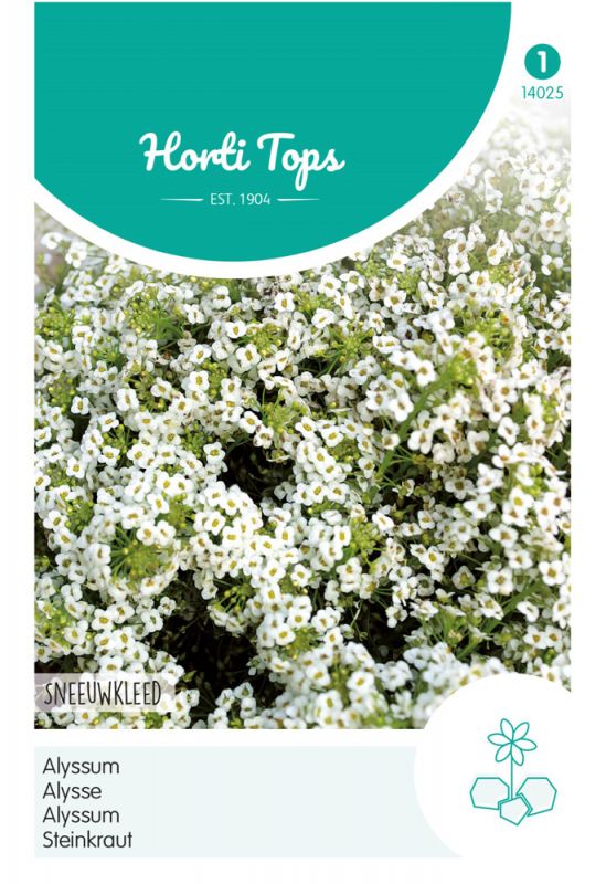White flowering alyssum seeds packaged in a colorful Horti Tops label, featuring a turquoise background and botanical illustrations, with the text "Alyssum" prominently displayed.