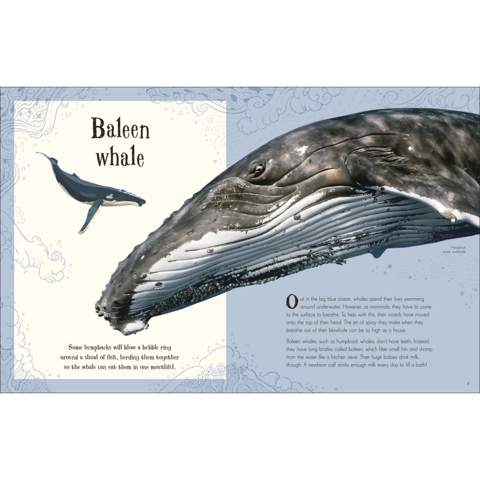 An Anthology of Intriguing Animals (DK Children's Anthologies) by Ben Hoare - image 4