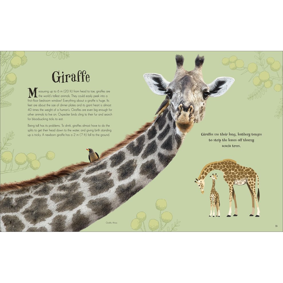 An Anthology of Intriguing Animals (DK Children's Anthologies) by Ben Hoare - image 5