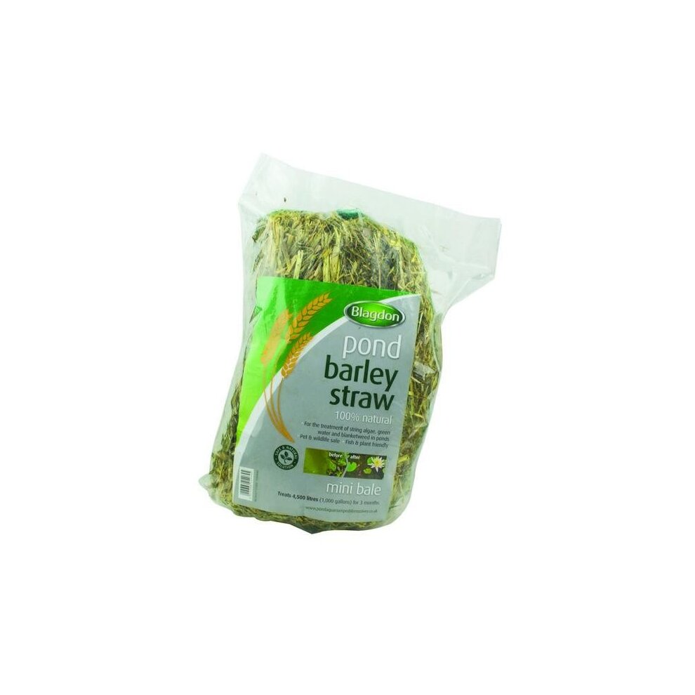 Blagdon Barley Straw Mini Bale in a clear plastic bag, featuring green and white packaging with a label highlighting its natural pond water treatment benefits.