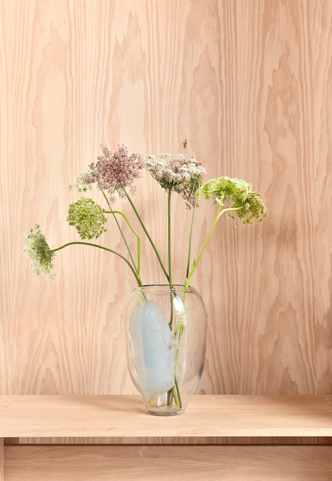 Bulbous and sturdy glass vase OYOY Living Design - image 2