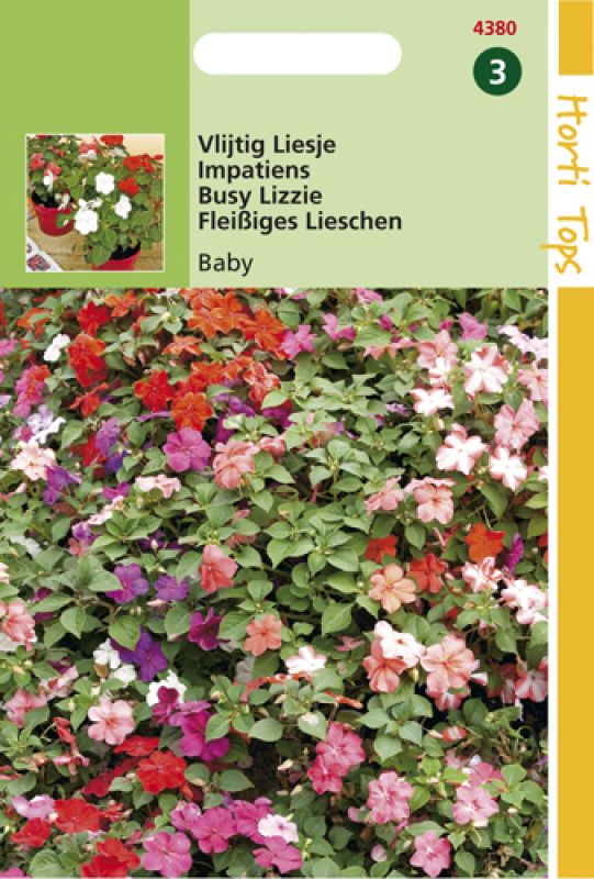 Colorful seed packet featuring "Vlijtig Liesje" (Impatiens) with vibrant pink, red, and white flowers, labeled with product details and a green and yellow design.